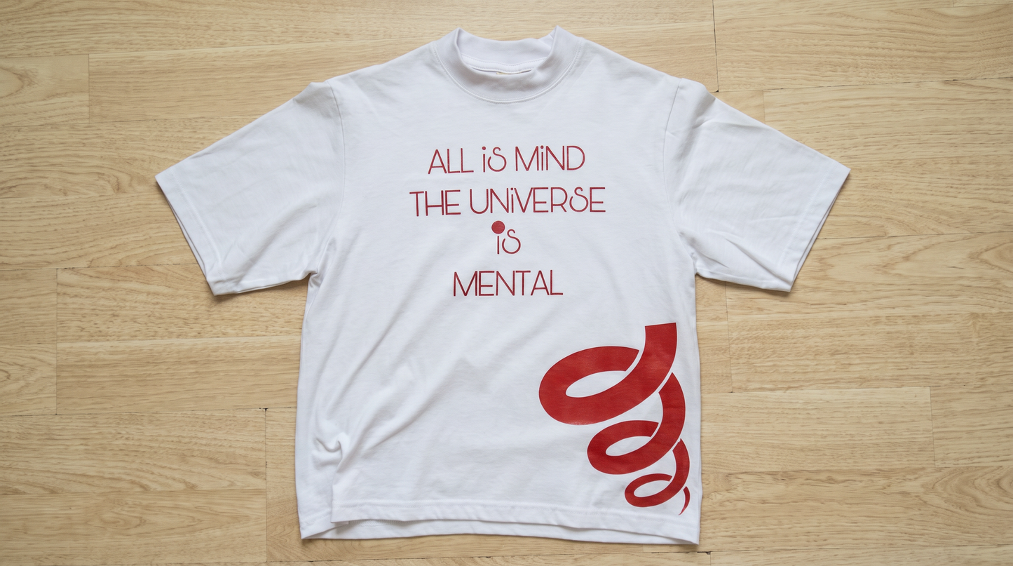"All is mind" Oversized Tee